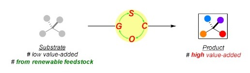Organocatalysis in Action